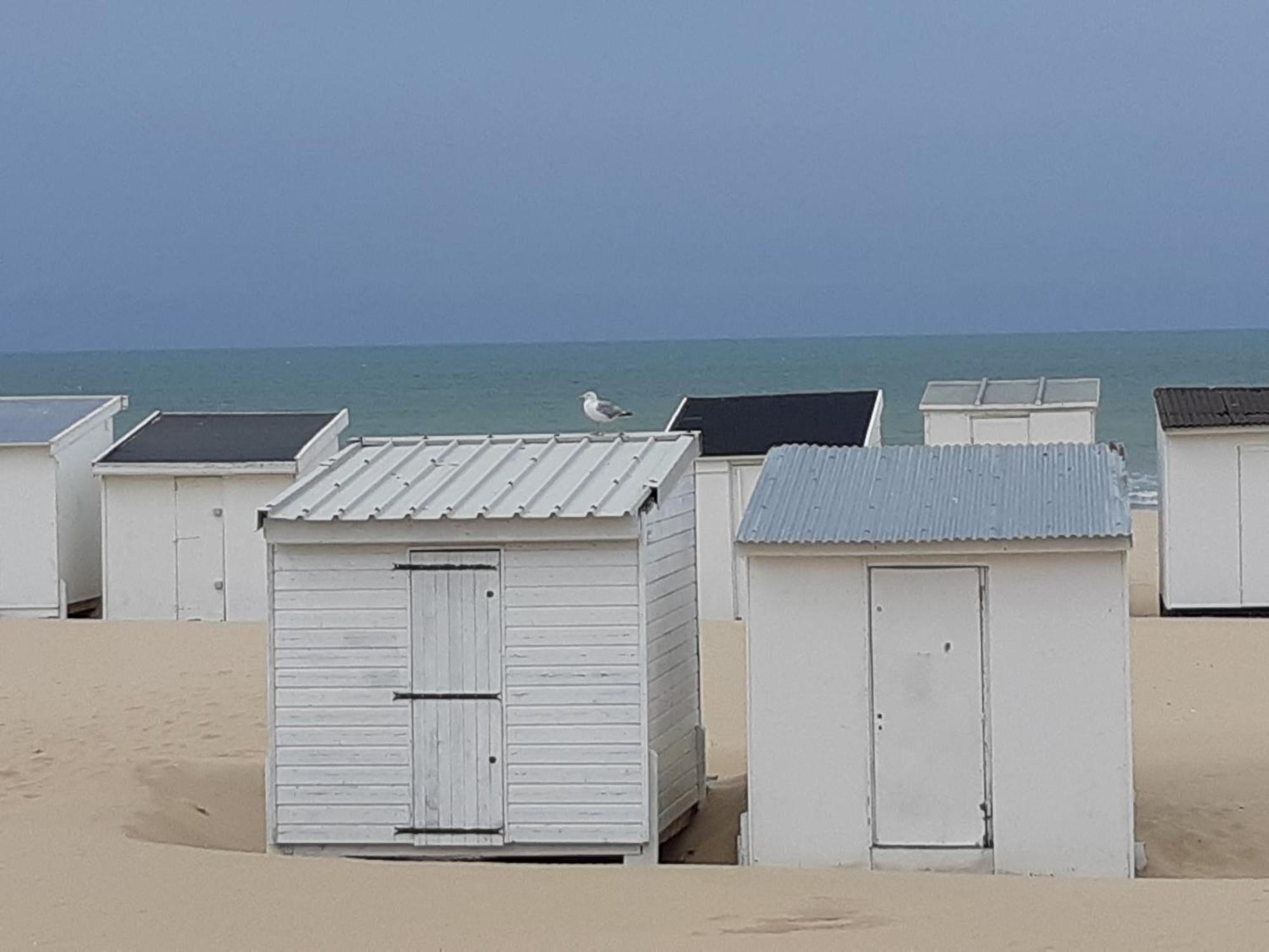 Calais Plage - Magnifique Studio - Front De Mer Exterior photo